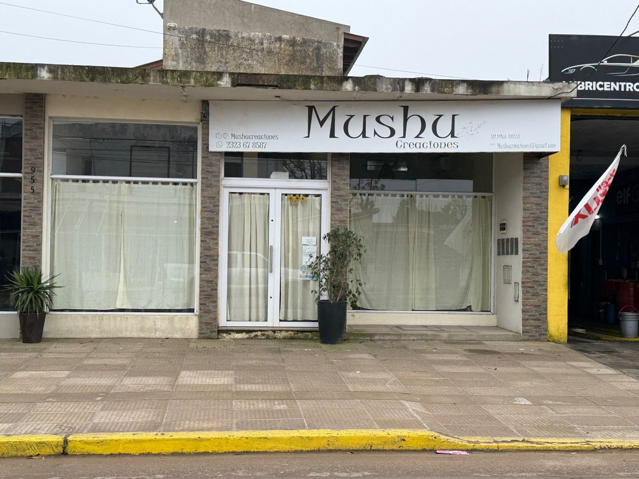 A34 - 2 locales y 3 departamentos - Calle 32 e/ 9 y 10