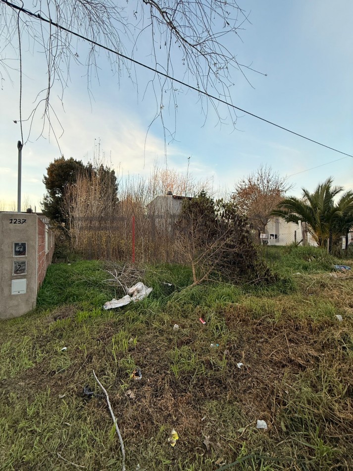 L19 - Lote Calle 38 e/ 12 y 13 - Santa Teresita