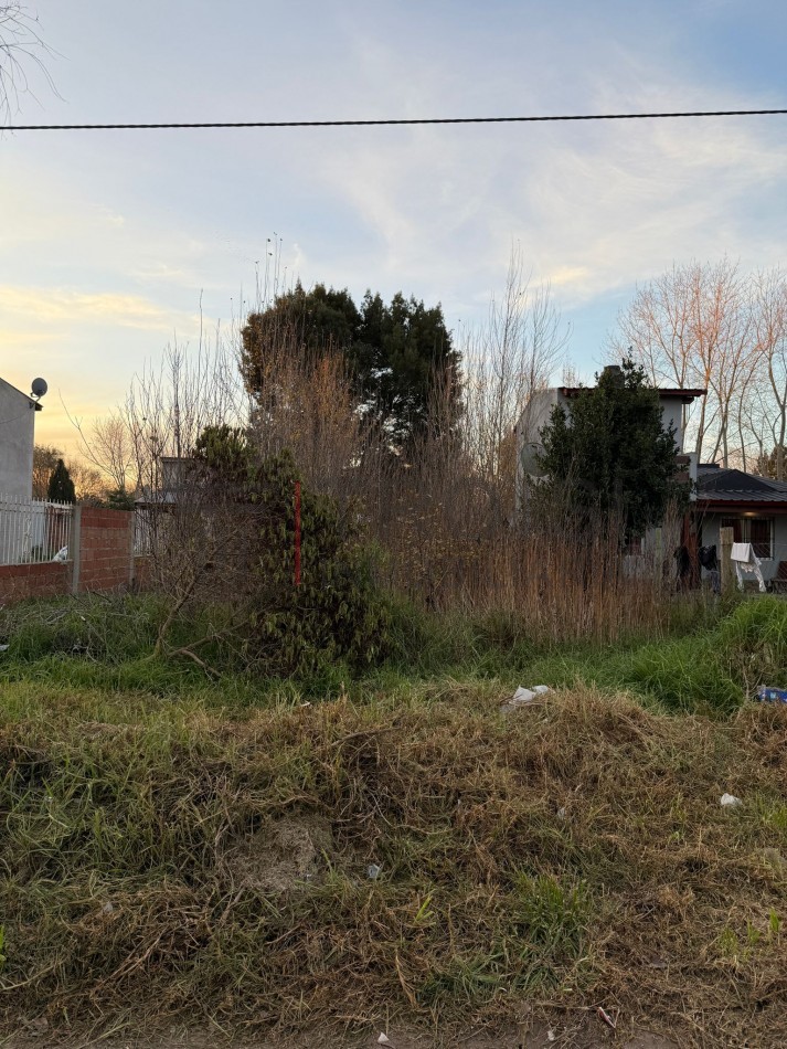 L19 - Lote Calle 38 e/ 12 y 13 - Santa Teresita