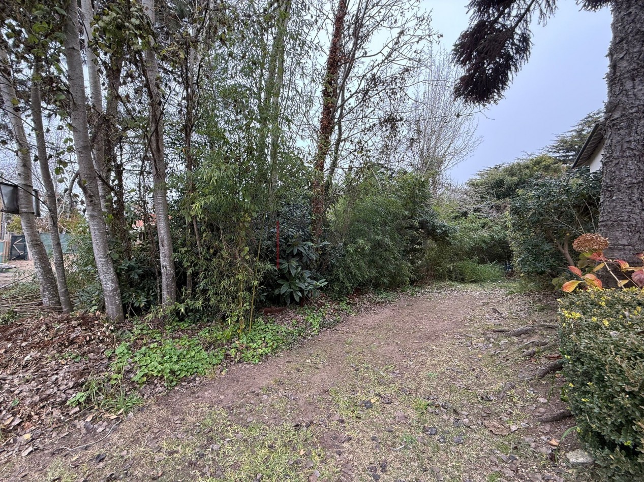 L18 - Lote Calle Buenos Aires e/ 27 y Peatonal - Santa Teresita