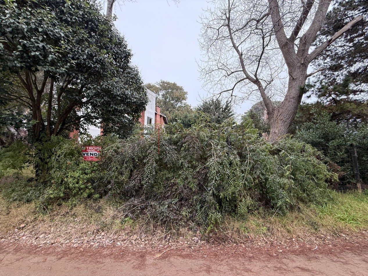 L12 - Lote Calle Salta casi esq. Mendoza - Santa Teresita
