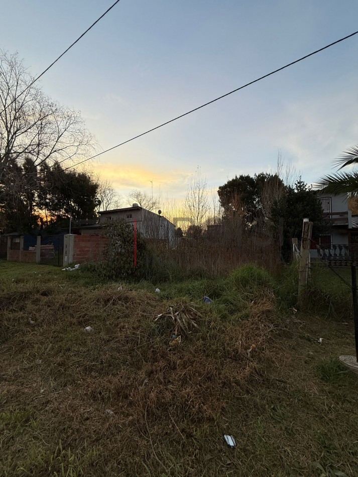 L19 - Lote Calle 38 e/ 12 y 13 - Santa Teresita