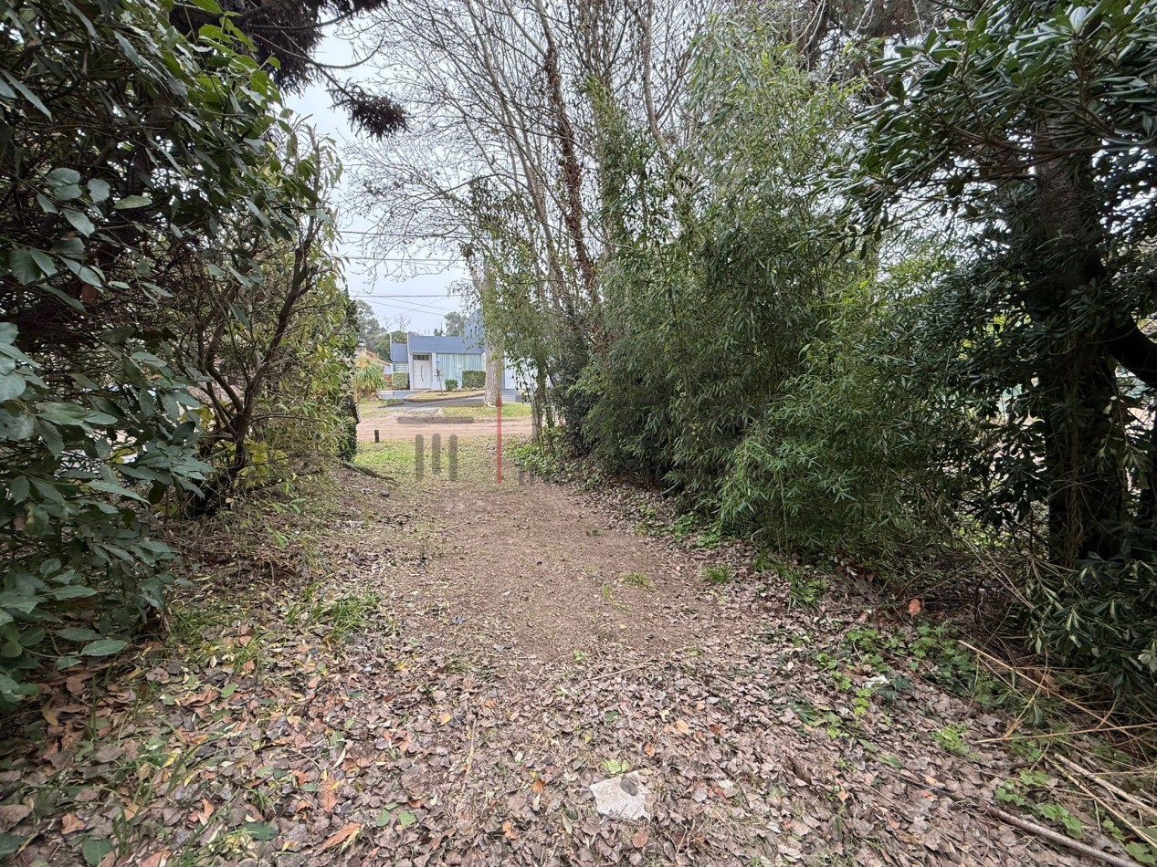 L18 - Lote Calle Buenos Aires e/ 27 y Peatonal - Santa Teresita