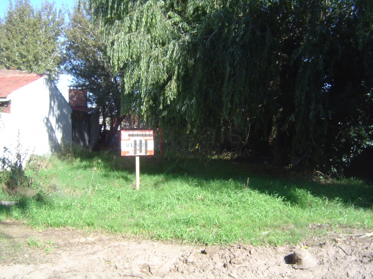 L15 - Lote Calle 42 e/ 10 y 11 - Santa Teresita